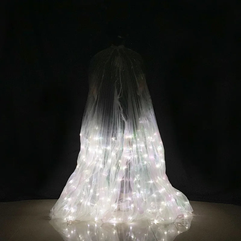 LED Dance Wings