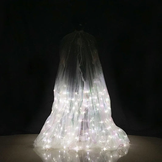 LED Dance Wings